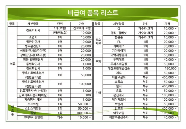 2022년 9월 20일 서울피부과 비급여 진료비 안내표